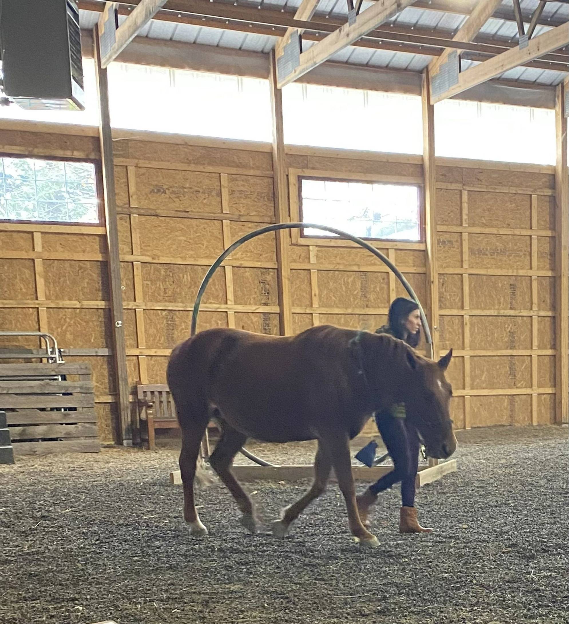 Journey to self obstacle course with Maple